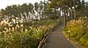 Olle Walking Paths