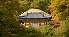 Seokguram grotto Bud..