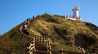 Seopjikoji