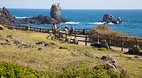 Seopjikoji