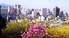 Seoul