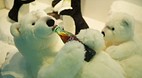 Teddy Bear Museum