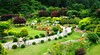 The Garden of Morning Calm