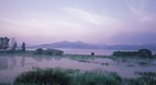 Uponeup Marsh