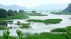 Uponeup Marsh