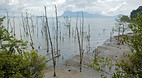 Bako National Park