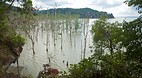 Bako National Park