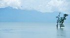 Bako National Park