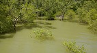 Bako National Park