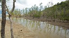 Bako National Park