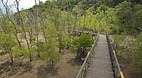 Bako National Park