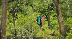 Bako National Park