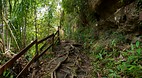 Bako National Park