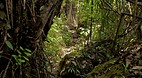Bako National Park