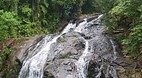 Endau Rompin State P..
