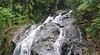 Endau Rompin State Park