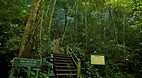 Gunung Mulu National..