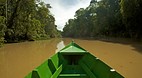 Kinabatangan River