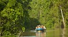 Kinabatangan River