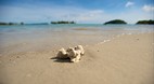 Langkawi