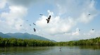 Langkawi