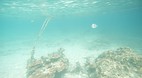 Perhentian Islands