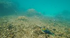 Perhentian Islands