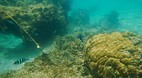 Perhentian Islands