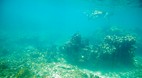 Perhentian Islands