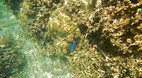Perhentian Islands