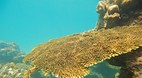 Perhentian Islands