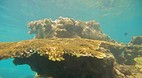 Perhentian Islands