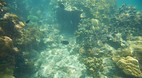 Perhentian Islands
