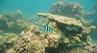 Perhentian Islands