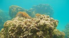 Perhentian Islands