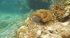 Perhentian Islands