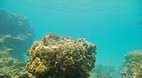 Perhentian Islands