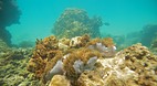 Perhentian Islands