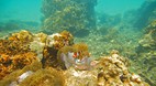 Perhentian Islands
