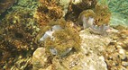 Perhentian Islands