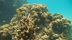 Perhentian Islands