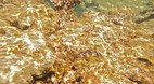Perhentian Islands