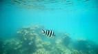 Perhentian Islands