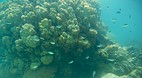 Perhentian Islands