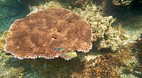 Perhentian Islands