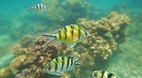 Perhentian Islands
