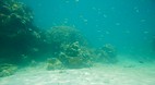Perhentian Islands