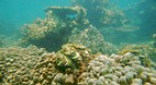 Perhentian Islands