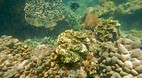 Perhentian Islands