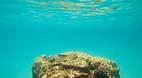 Perhentian Islands